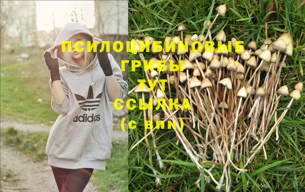 jwh Богданович