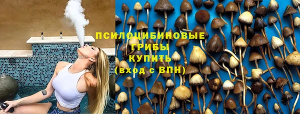 винт Бронницы