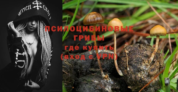 ALPHA-PVP Бугульма