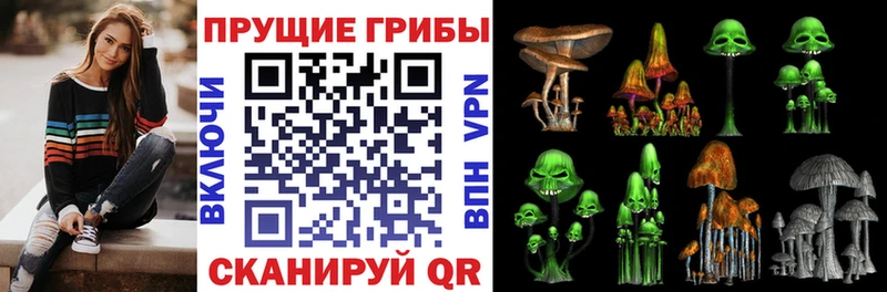 Купить где  Ртищево  Псилоцибиновые грибы мицелий 